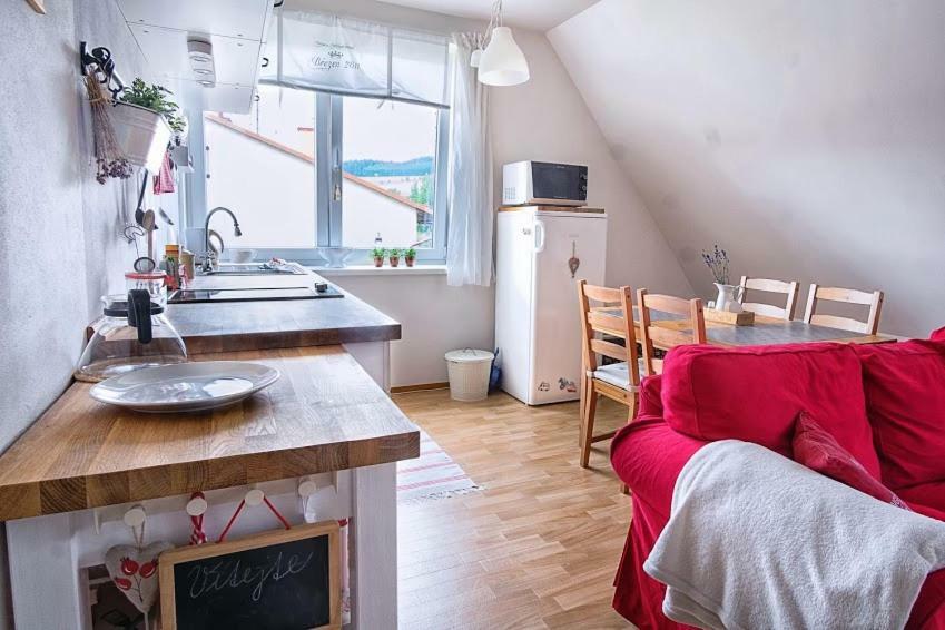 Apartmán Deštná čp.1 Destne v Orlickych horach Exterior foto